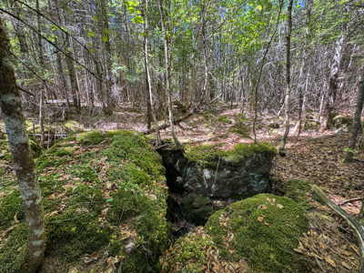 20 Acre Parcel with Brook Frontage - Oakfield, Maine - image 8