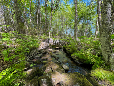 20 Acre Parcel with Brook Frontage - Oakfield, Maine - image 6