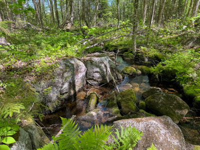 20 Acre Parcel with Brook Frontage - Oakfield, Maine - image 11