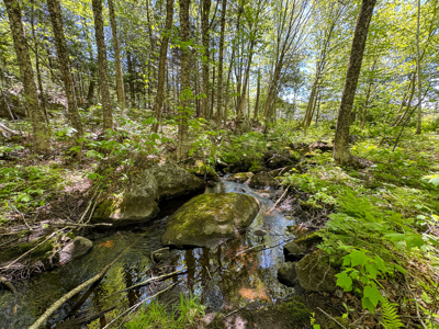 20 Acre Parcel with Brook Frontage - Oakfield, Maine - image 4