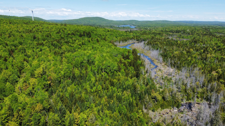 20 Acre Parcel with Brook Frontage - Oakfield, Maine - image 3