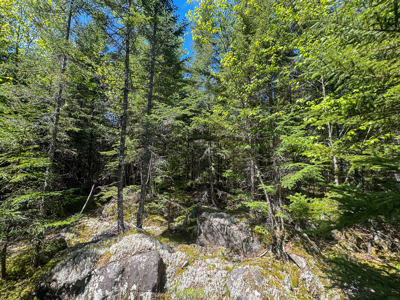 20 Acre Parcel with Brook Frontage - Oakfield, Maine - image 10