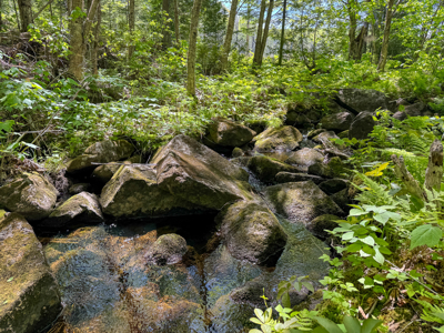 20 Acre Parcel with Brook Frontage - Oakfield, Maine - image 7