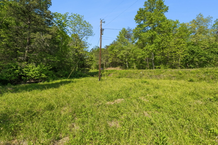 Buildable Lot for Sale in Etowah, TN - image 6
