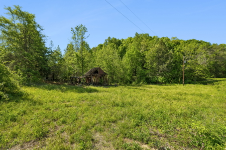Buildable Lot for Sale in Etowah, TN - image 3