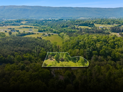Buildable Lot for Sale in Etowah, TN - image 1