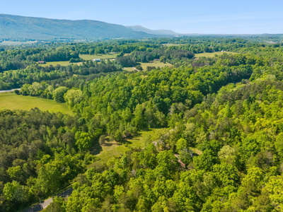 Buildable Lot for Sale in Etowah, TN - image 11