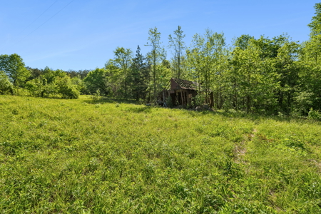 Buildable Lot for Sale in Etowah, TN - image 7