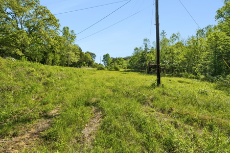 Buildable Lot for Sale in Etowah, TN - image 8