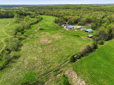 Stunning Country Estate w/Acreage, Home & Spring in West PlainsMO - image 10