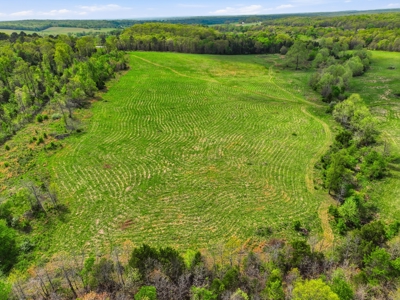 Stunning Country Estate w/Acreage, Home & Spring in West PlainsMO - image 11