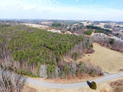 Land for sale in Fancy Gap, Va - image 4