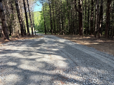 Land for sale in Fancy Gap, Va - image 12
