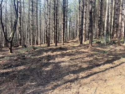 Land for sale in Fancy Gap, Va - image 10