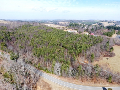 Land for sale in Fancy Gap, Va - image 5