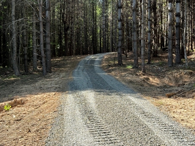 Land for sale in Fancy Gap, Va - image 14
