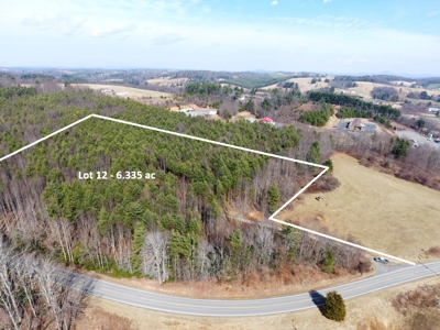 Land for sale in Fancy Gap, Va - image 8