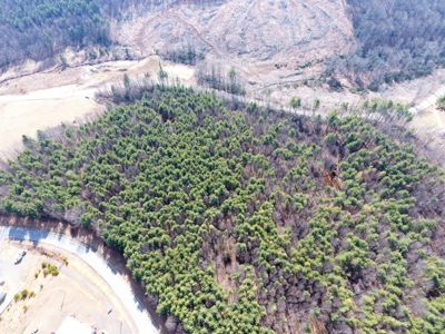 Land for sale in Fancy Gap, Va - image 9