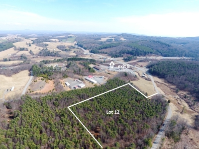 Land for sale in Fancy Gap, Va - image 1