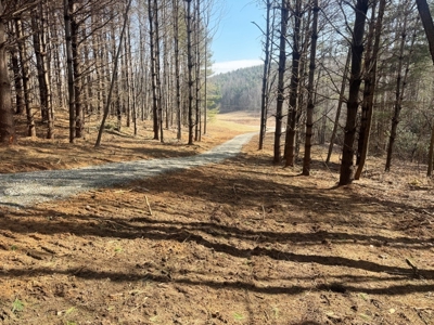 Land for sale Carroll County, Va - image 14