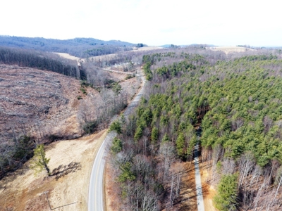 Land for sale Carroll County, Va - image 9