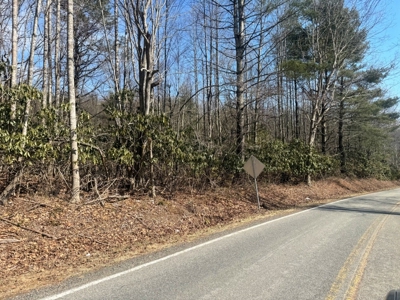 Land for sale Carroll County, Va - image 15