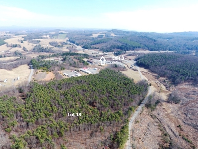 Land for sale Carroll County, Va - image 1