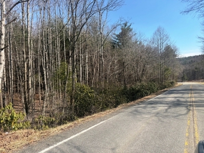 Land for sale Carroll County, Va - image 16