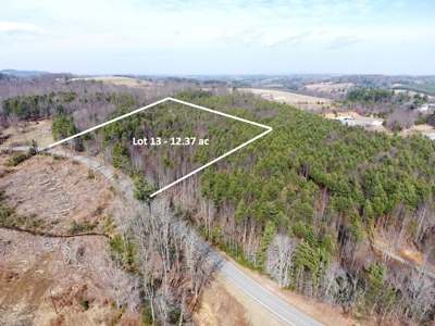 Land for sale Carroll County, Va - image 8