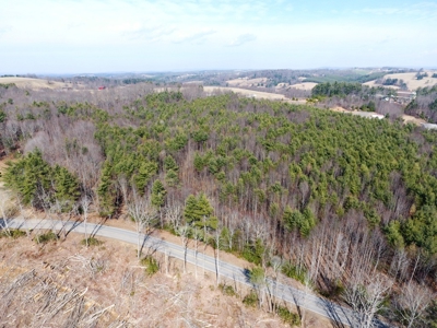Land for sale Carroll County, Va - image 10