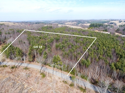 Land for sale Carroll County, Va - image 3