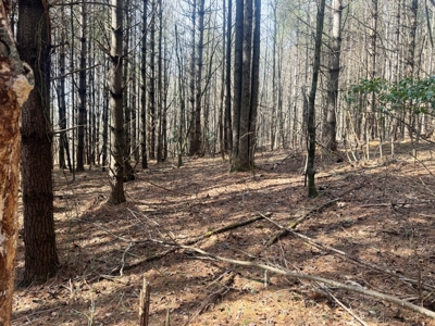 Land for sale Carroll County, Va - image 12