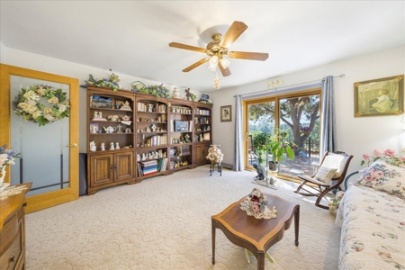 Luxury Log Hill Ridgway Estate with Stunning Mountain Views - image 13