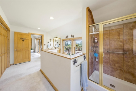 Luxury Log Hill Ridgway Estate with Stunning Mountain Views - image 12