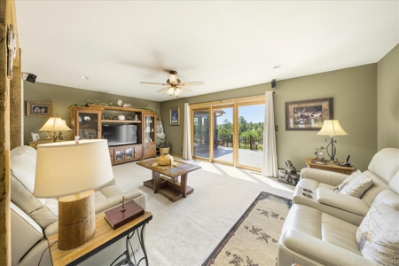 Luxury Log Hill Ridgway Estate with Stunning Mountain Views - image 3