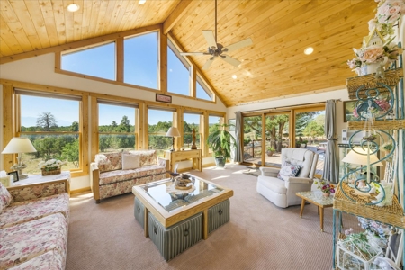 Luxury Log Hill Ridgway Estate with Stunning Mountain Views - image 8