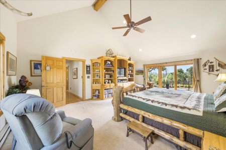 Luxury Log Hill Ridgway Estate with Stunning Mountain Views - image 9