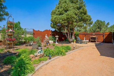 Luxury Log Hill Ridgway Estate with Stunning Mountain Views - image 24