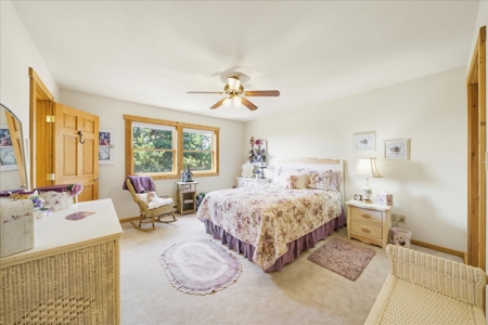 Luxury Log Hill Ridgway Estate with Stunning Mountain Views - image 17