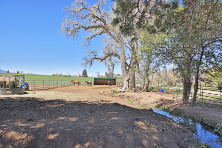 Colorado Ranch on Irrigated Acreage For Sale - image 33