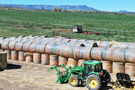 Colorado Ranch on Irrigated Acreage For Sale - image 43