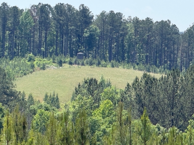 Heiberger Sportsman Club featuring an amazing lake, and much more - image 23