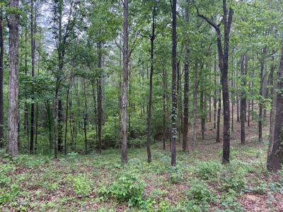 Heiberger Sportsman Club featuring an amazing lake, and much more - image 4