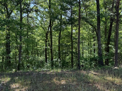 Heiberger Sportsman Club featuring an amazing lake, and much more - image 34