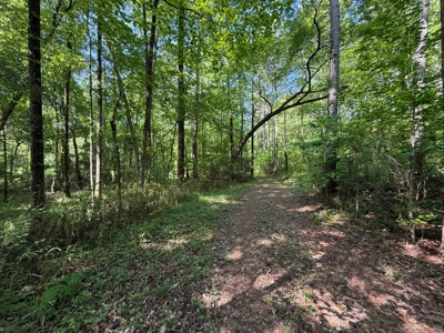 Heiberger Sportsman Club featuring an amazing lake, and much more - image 38