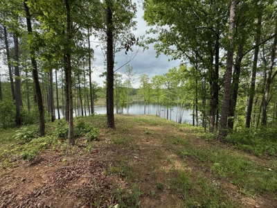 Heiberger Sportsman Club featuring an amazing lake, and much more - image 18