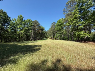 Heiberger Sportsman Club featuring an amazing lake, and much more - image 36
