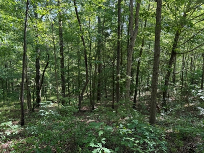 Heiberger Sportsman Club featuring an amazing lake, and much more - image 7