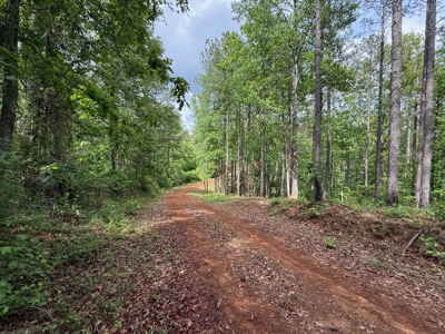 Heiberger Sportsman Club featuring an amazing lake, and much more - image 19