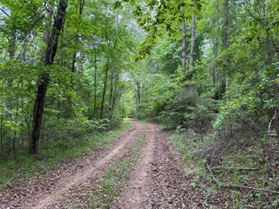 Heiberger Sportsman Club featuring an amazing lake, and much more - image 44